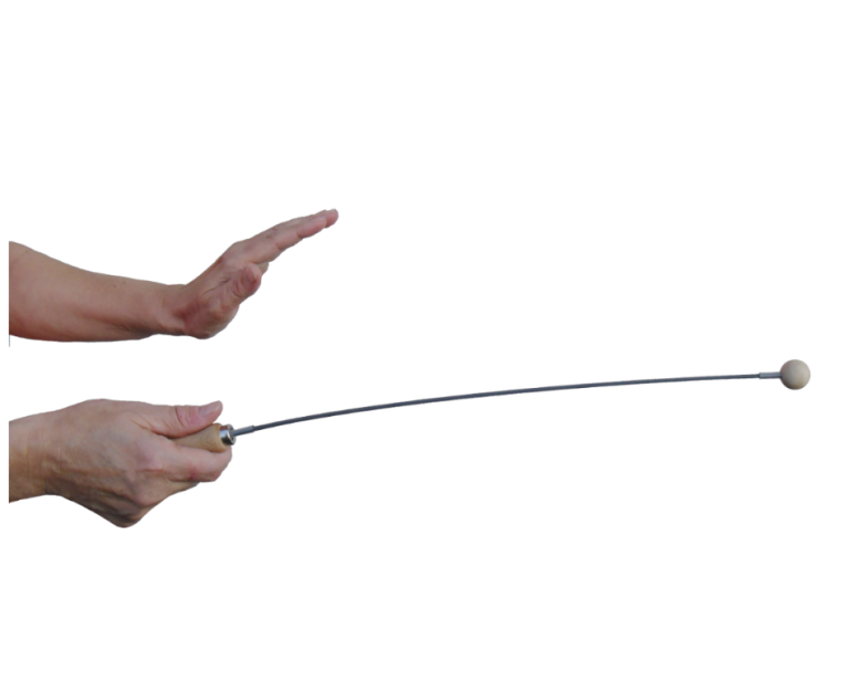 Einhandrute